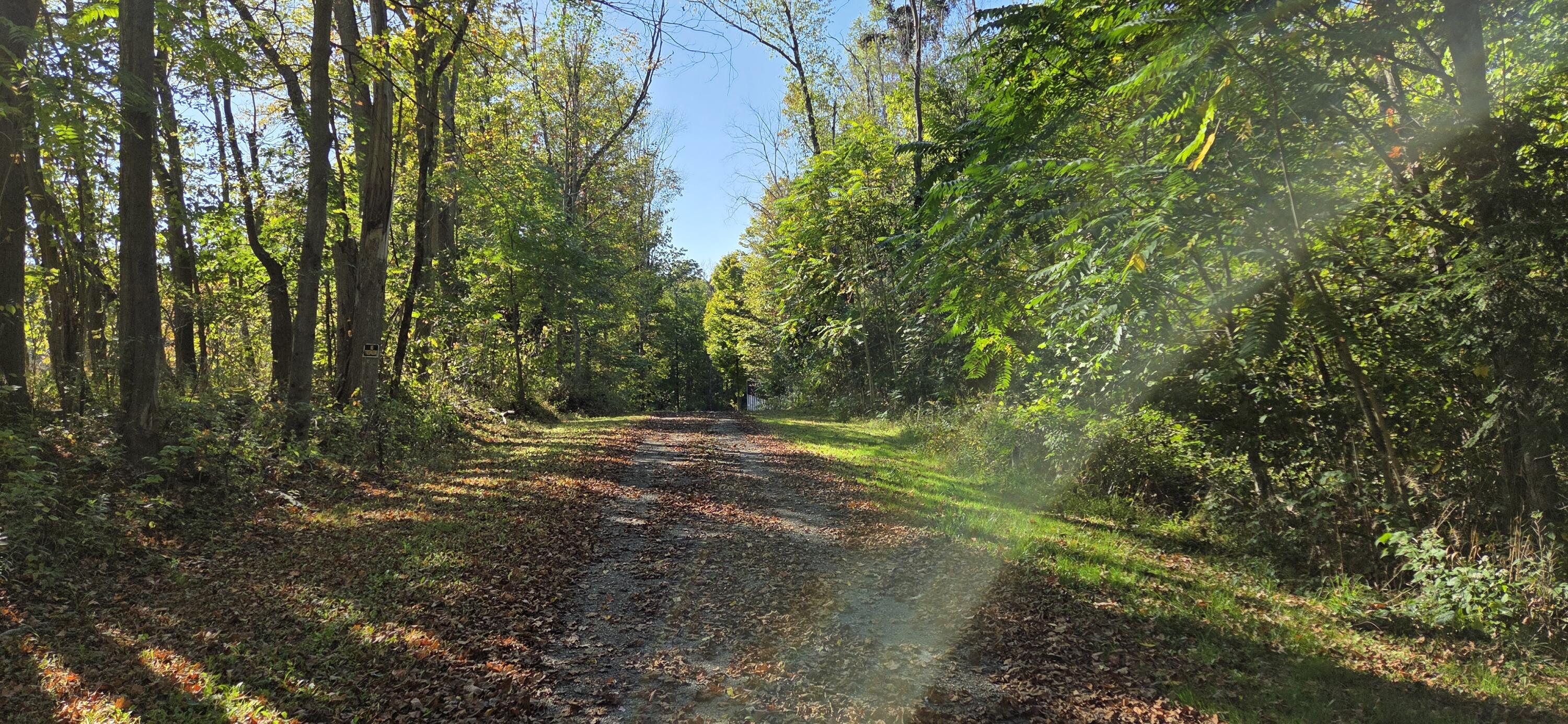 64778 Union Road