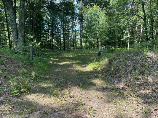 802 BEAVER RD, BITELY, MI 49309 - Image ad8b7be660433b7dc3213eb2cba2a3d1/1180648650
