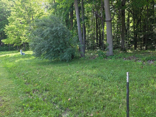 17645 SUMMERHILL LN, NEW BUFFALO, MI 49117 - Image ae0a2dbf31352d7a6205e5e7e40686f4/296829396