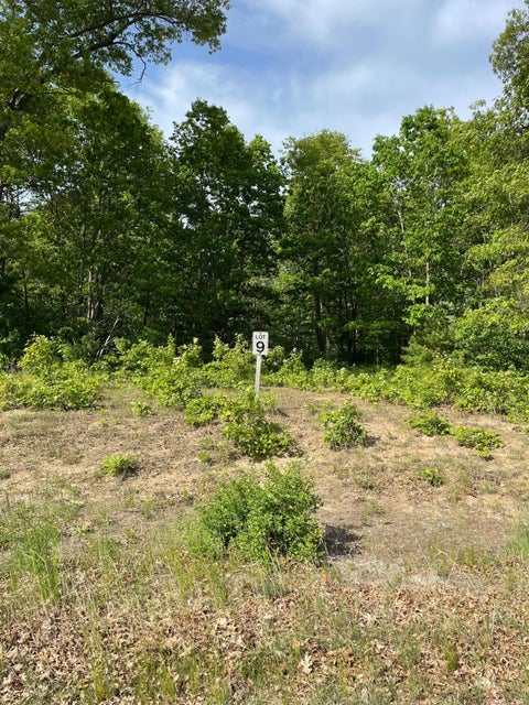 Photo of Lot 9 Renaissance, Manistee, MI 49660 (MLS # 18010085)