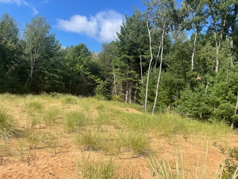 Photo of 6367 N Dune Grass Trail, Hart, MI 49420 (MLS # 26045729)