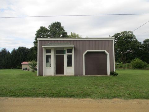 Photo of 55694 Goff Lake Road, Marcellus, MI 49067 (MLS # 25043905)