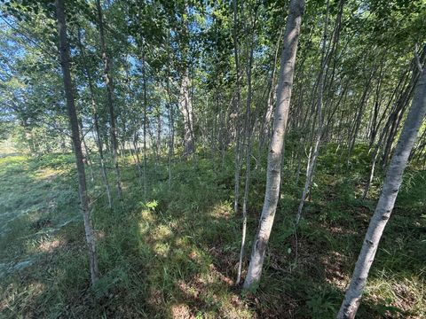 Photo of W Royal Road #Lot C, Canadian Lakes, MI 49346 (MLS # 26014337)