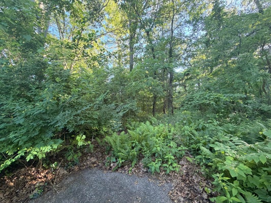 6034 RIVER RIDGE DR, HAMILTON, MI 49419 - Image b10c9cf444b467ee4cf9d93ada2db5e2/747275757