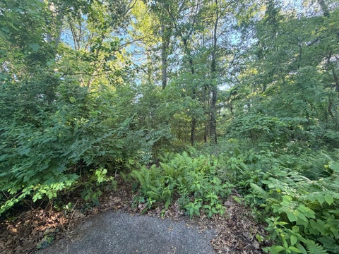 Photo for 6034 River Ridge Court