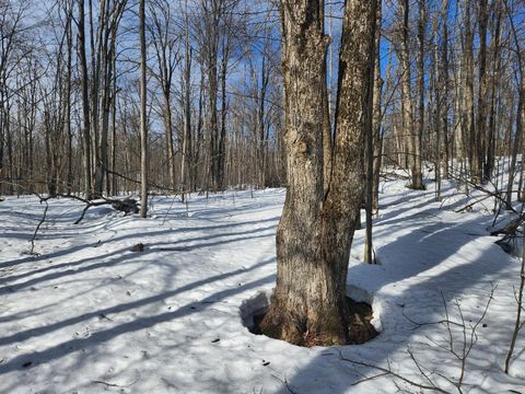 Photo of Valleyridge Circle, Alba, MI 49611 (MLS # 26009564)