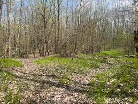 TBD Pierce Road Stanwood MI 49346
