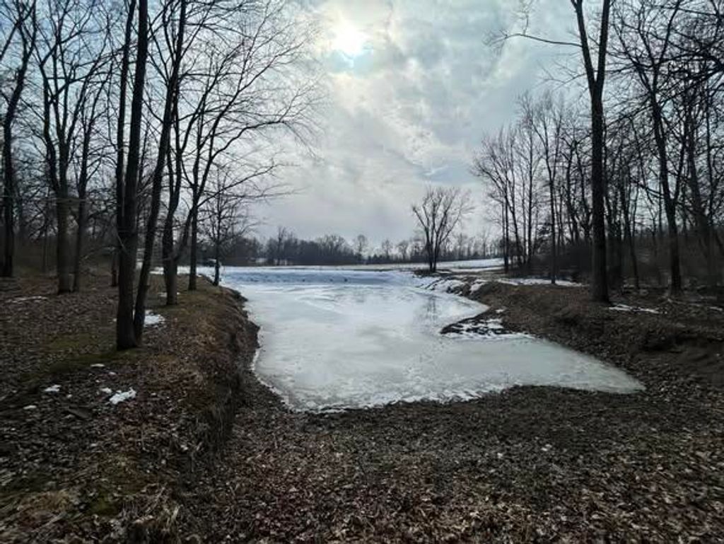 Photo of 5018 S Rumsey Road, Pittsford, MI 49271 (MLS # 26005781)