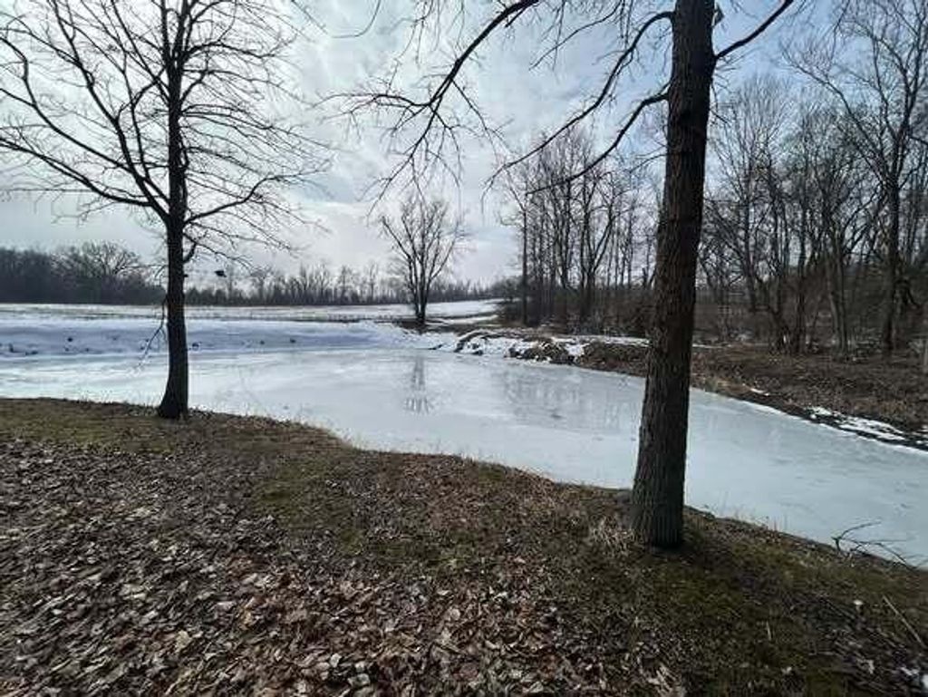 Photo of 5018 S Rumsey Road, Pittsford, MI 49271 (MLS # 26005781)