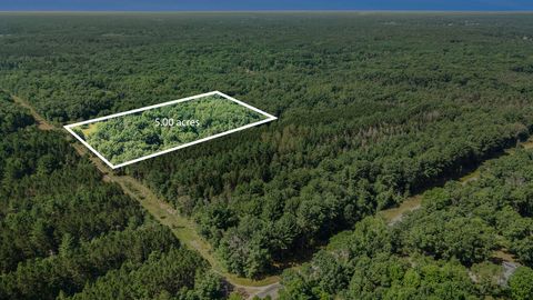 Lot B 85th Avenue Mecosta MI 49332