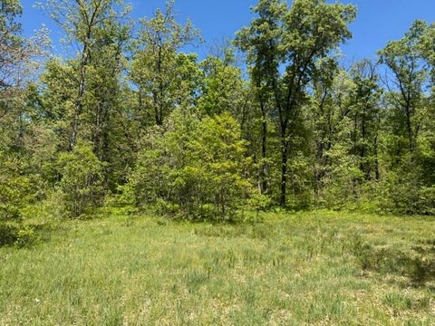 Photo for Parcel B W USFS 5196