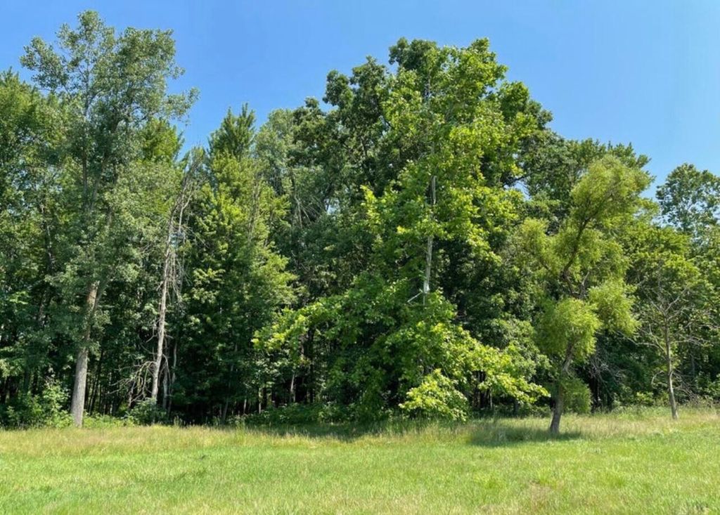 Photo of 41908 48th Avenue, Paw Paw, MI 49079 (MLS # 25056262)