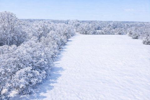 Photo of 41908 48th Avenue, Paw Paw, MI 49079 (MLS # 25056262)