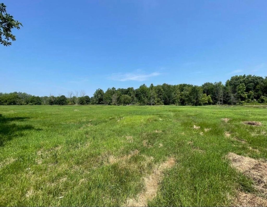 Photo of 41908 48th Avenue, Paw Paw, MI 49079 (MLS # 25056262)