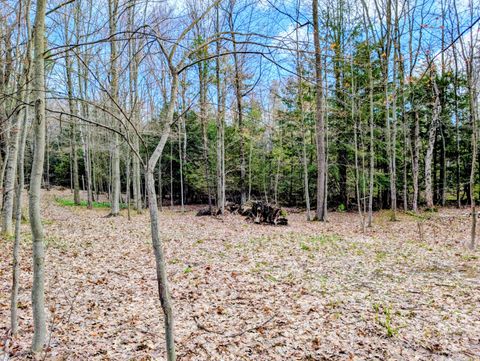 Photo of VL W Jagger Road, Ludington, MI 49431 (MLS # 26018945)