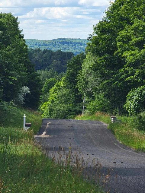 Photo of Maxey Road #7.2 acres, Arcadia, MI 49613 (MLS # 25045728)