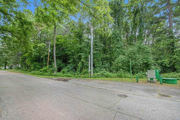 171 THOMAS ST, ALLEGAN, MI 49010 - Image b42fc8a49b09652a596879ceff3ee06a/1146900598