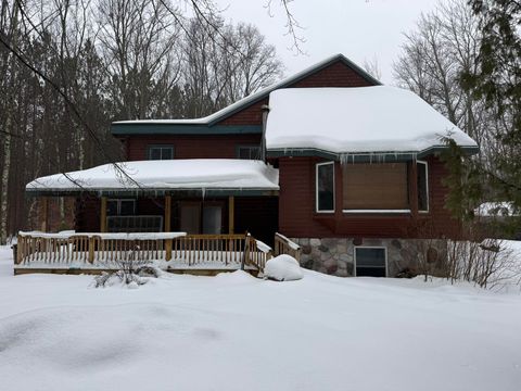 Photo of 2772 Skidmore Road, Brethren, MI 49619 (MLS # 26003136)