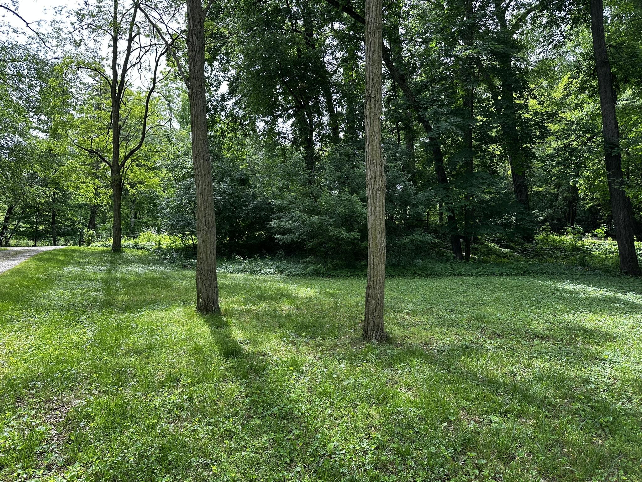 Augusta, Michigan 49012, United States, 4 Bedrooms Bedrooms, ,2 BathroomsBathrooms,Residential,Active,95862