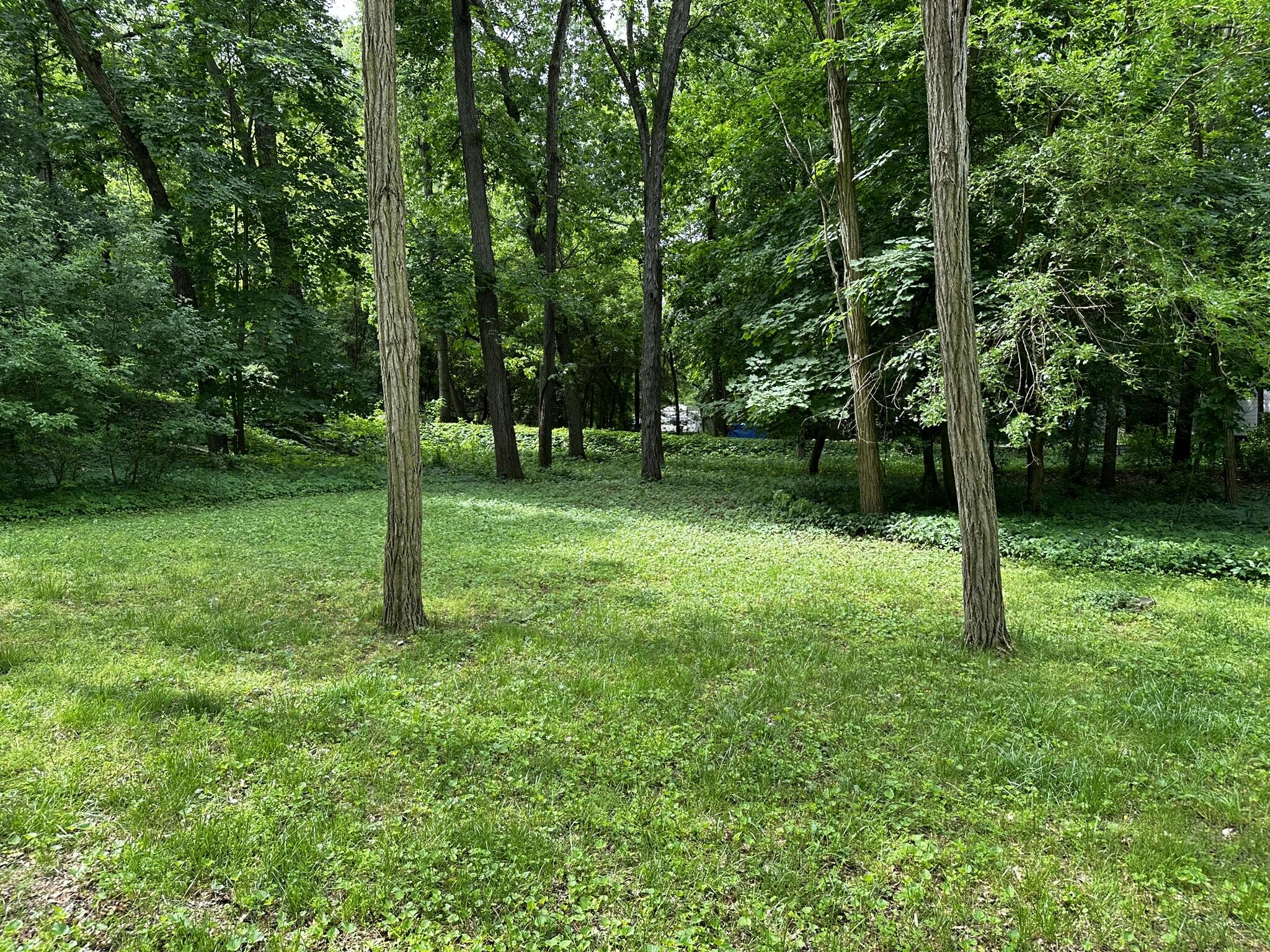 Augusta, Michigan 49012, United States, 4 Bedrooms Bedrooms, ,2 BathroomsBathrooms,Residential,Active,95862