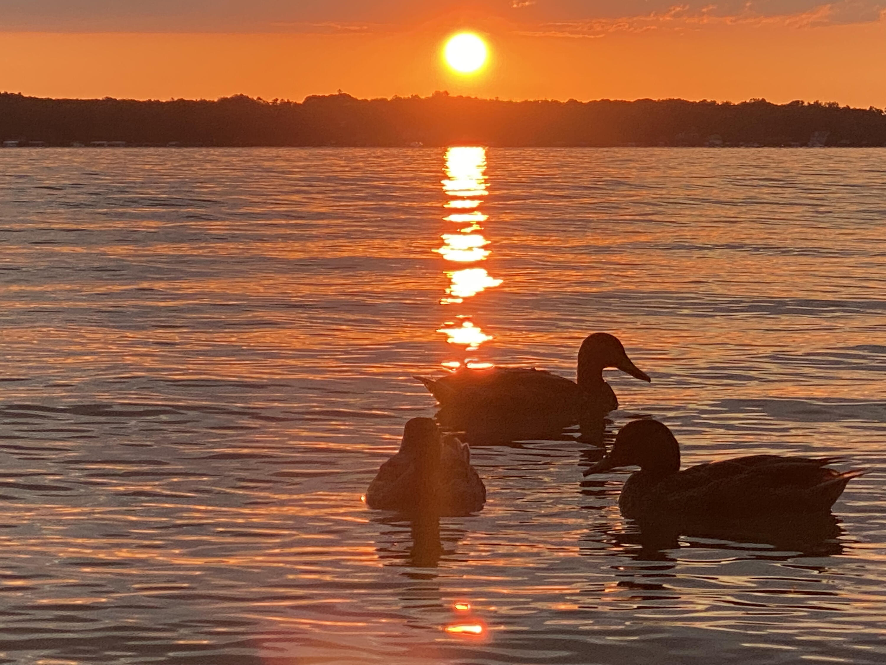 Augusta, Michigan 49012, United States, 4 Bedrooms Bedrooms, ,2 BathroomsBathrooms,Residential,Active,95862