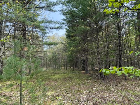 Photo of Critter Trail #Parcel C, Manistee, MI 49660 (MLS # 25059743)