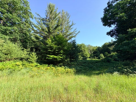 Photo of Wildwood Trail #Lot A, Manistee, MI 49660 (MLS # 26033605)