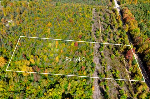 Photo of Parcel C S Weldon Road, Beulah, MI 49617 (MLS # 25052107)
