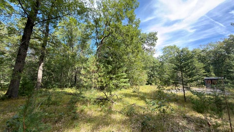 Photo of 151 N Horseshoe Bend Road, Manistee, MI 49660 (MLS # 26049386)