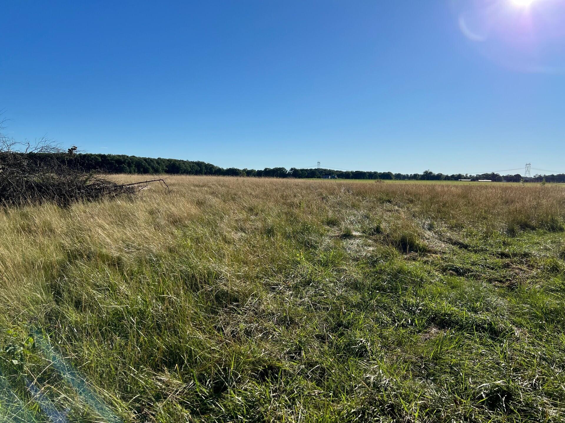 Three Oaks, Michigan 49128, United States, ,Land,Active,67606