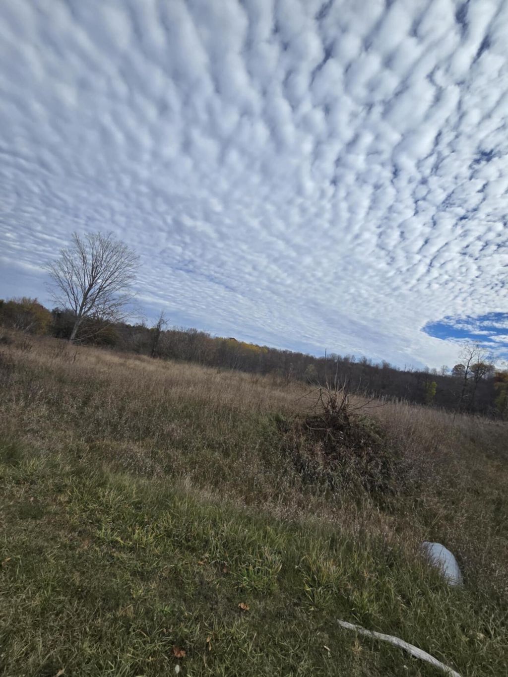 Photo of VL 200th ave Avenue, Big Rapids, MI 49307 (MLS # 25056554)