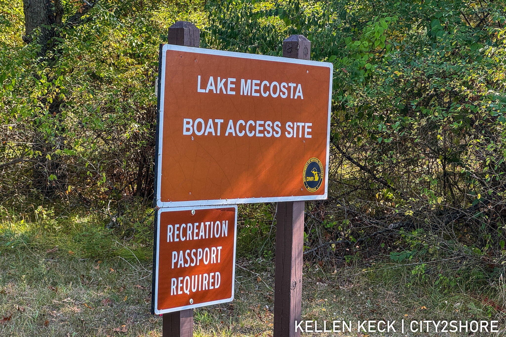 10315 Tombstone Drive