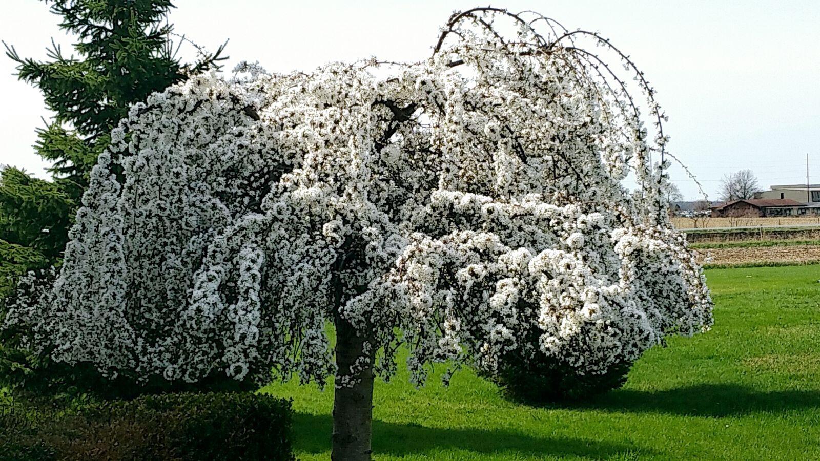 Sturgis, Michigan 49091, United States, 3 Bedrooms Bedrooms, ,3 BathroomsBathrooms,Residential,Active,26794