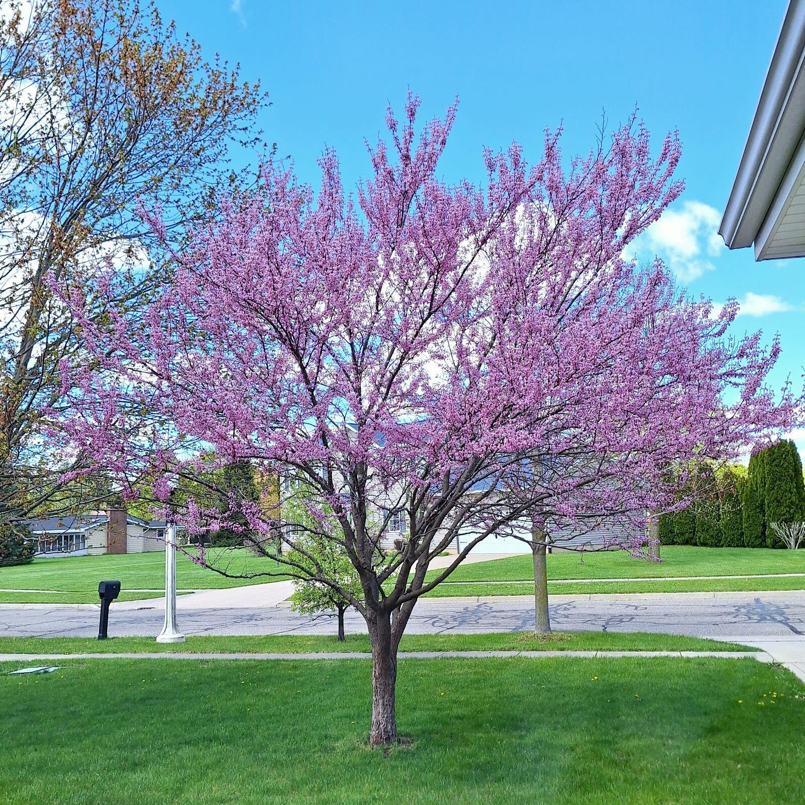 Sturgis, Michigan 49091, United States, 3 Bedrooms Bedrooms, ,3 BathroomsBathrooms,Residential,Active,26794