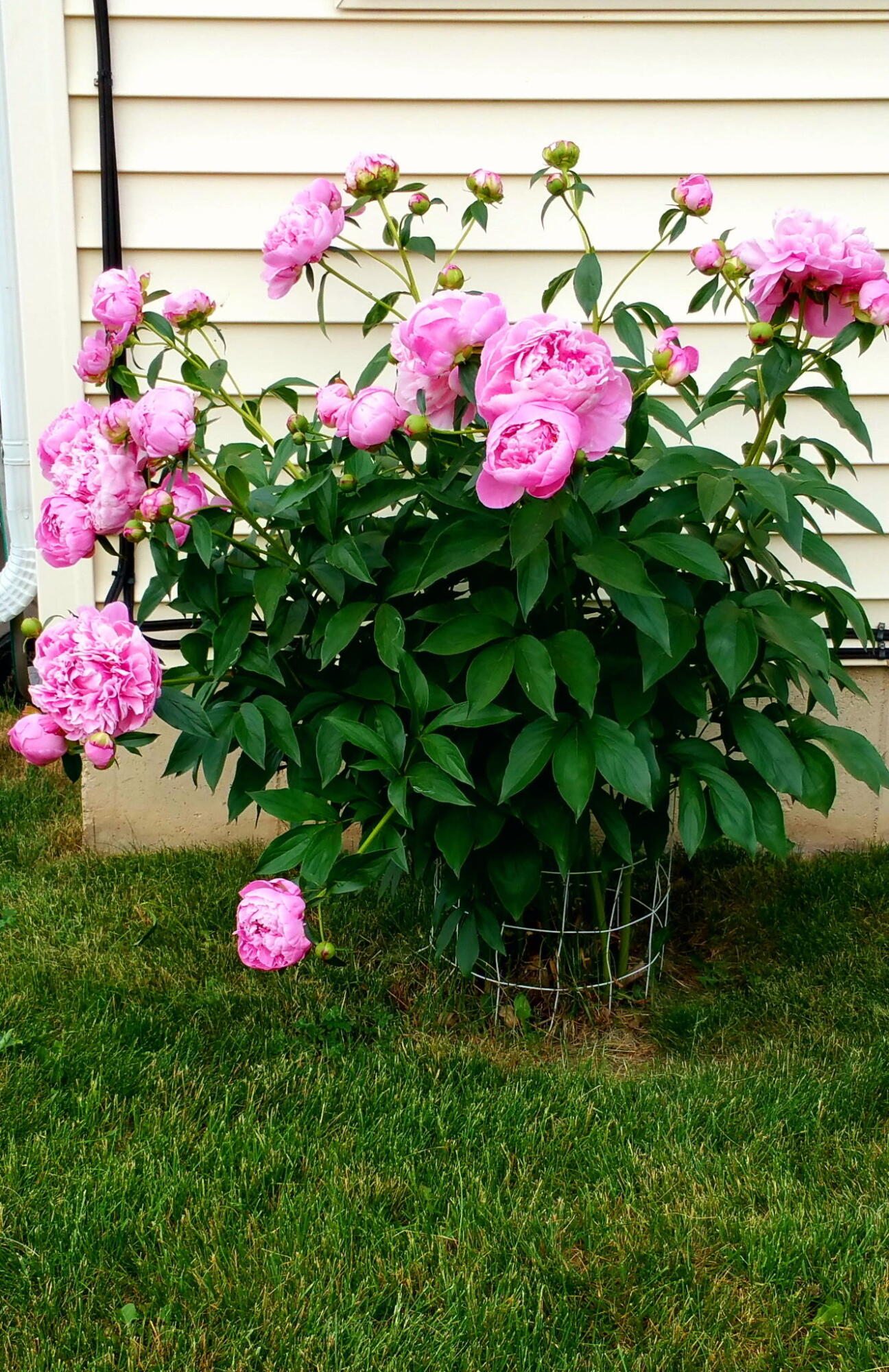 Sturgis, Michigan 49091, United States, 3 Bedrooms Bedrooms, ,3 BathroomsBathrooms,Residential,Active,26794