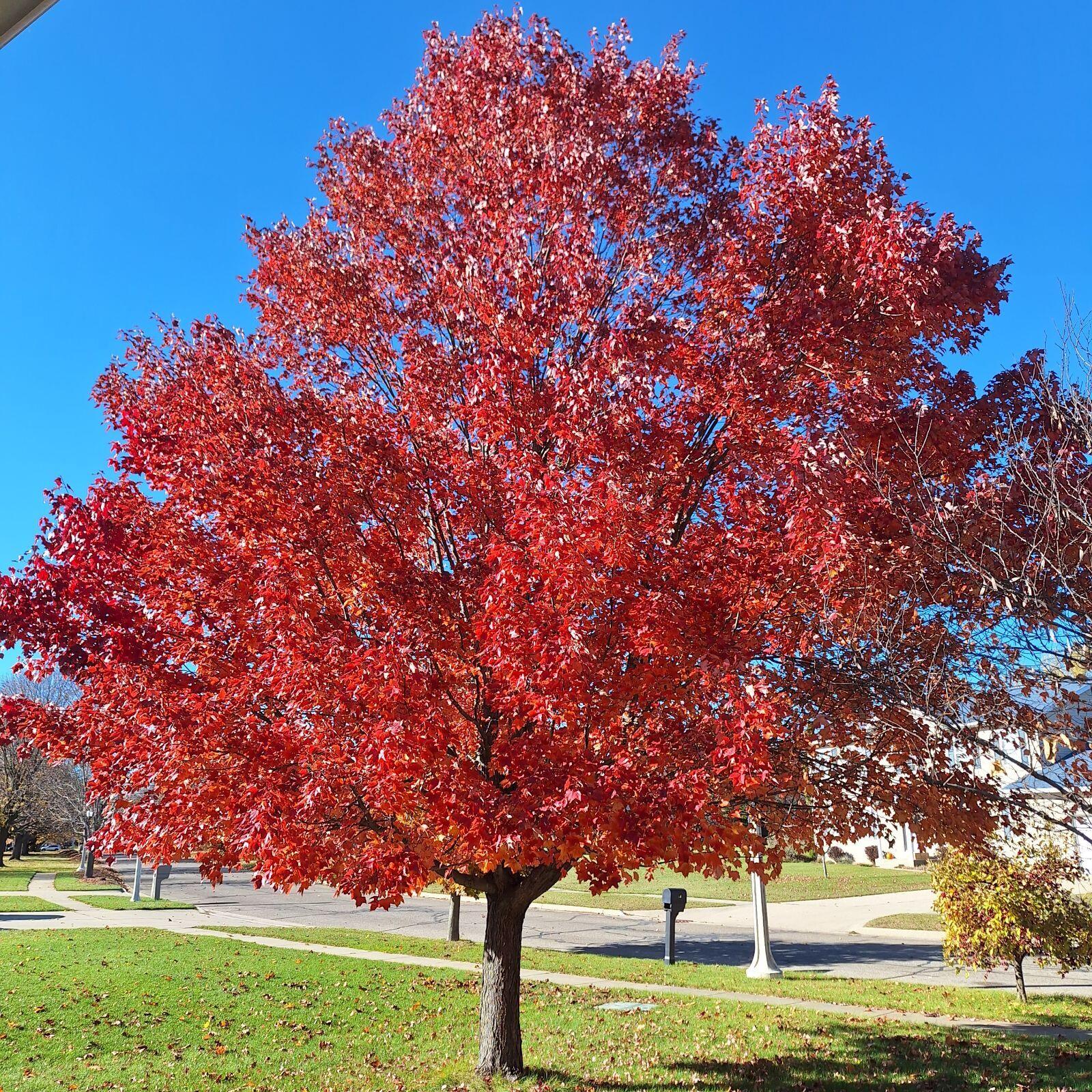 Sturgis, Michigan 49091, United States, 3 Bedrooms Bedrooms, ,3 BathroomsBathrooms,Residential,Active,26794
