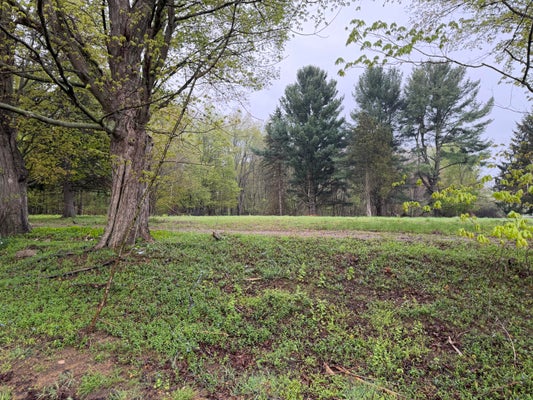 LOT 1 CHRISTOPHER LANE, SOUTH HAVEN, MI 49090 - Image b61822f61be56471c7c673b4beebb10d/344607182