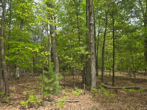 Photo of VL 10 ACRE N Ridge ROAD Road, Mears, MI 49436 (MLS # 26032118)