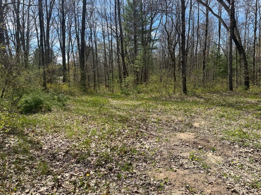 S SHEPPERD RD, BRANCH, MI 49402 - Image b6b78c2f1e33d420ff57f0d8cb7c4bb6/1484617841