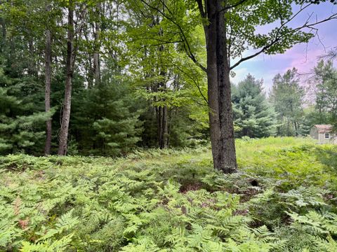 6362 Cedar Trace Canadian Lakes MI 49346