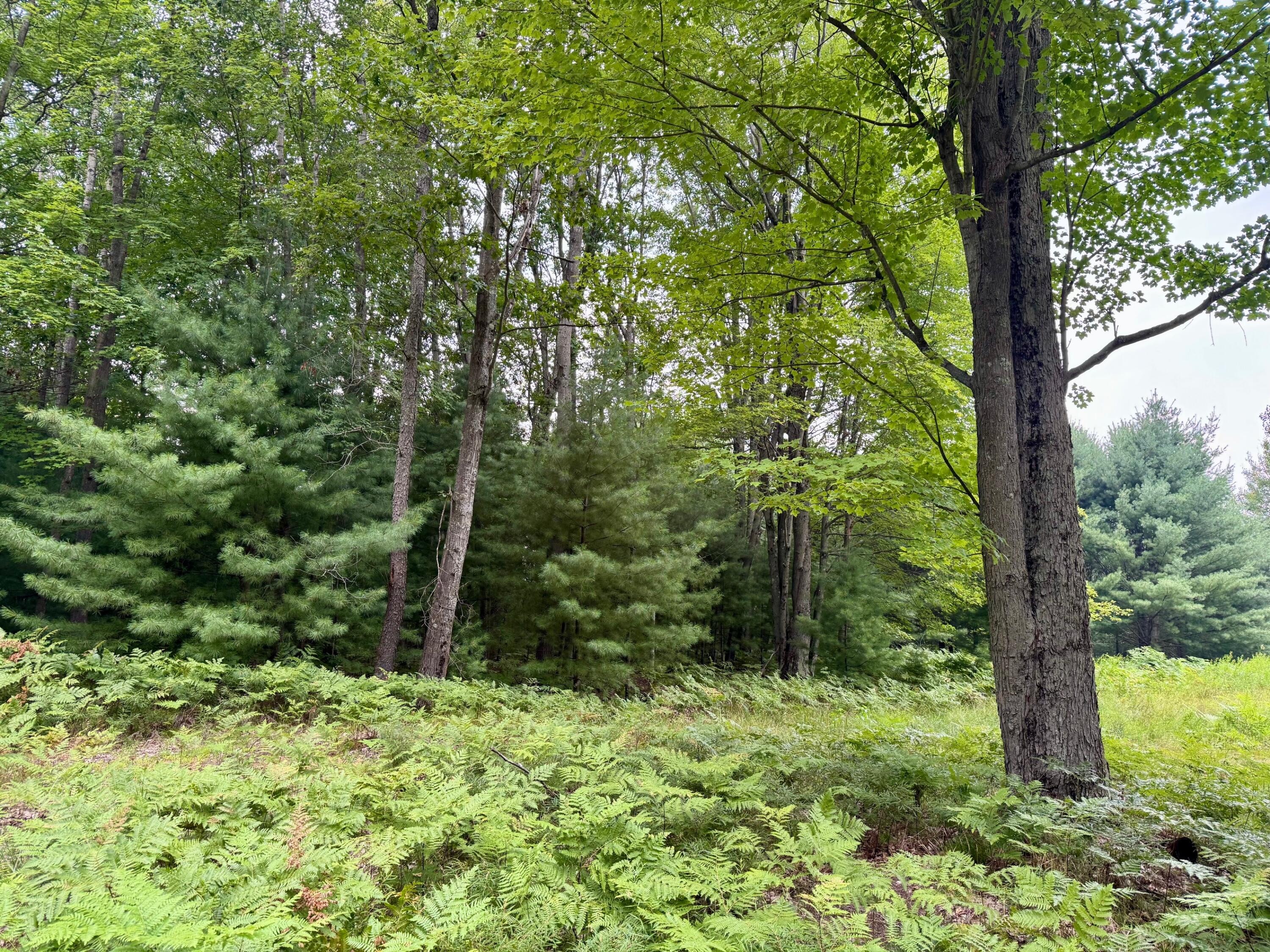 6362 Cedar Trace