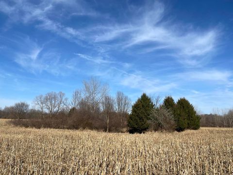 Photo of 0 48th Avenue, Lawrence, MI 49064 (MLS # 25050708)