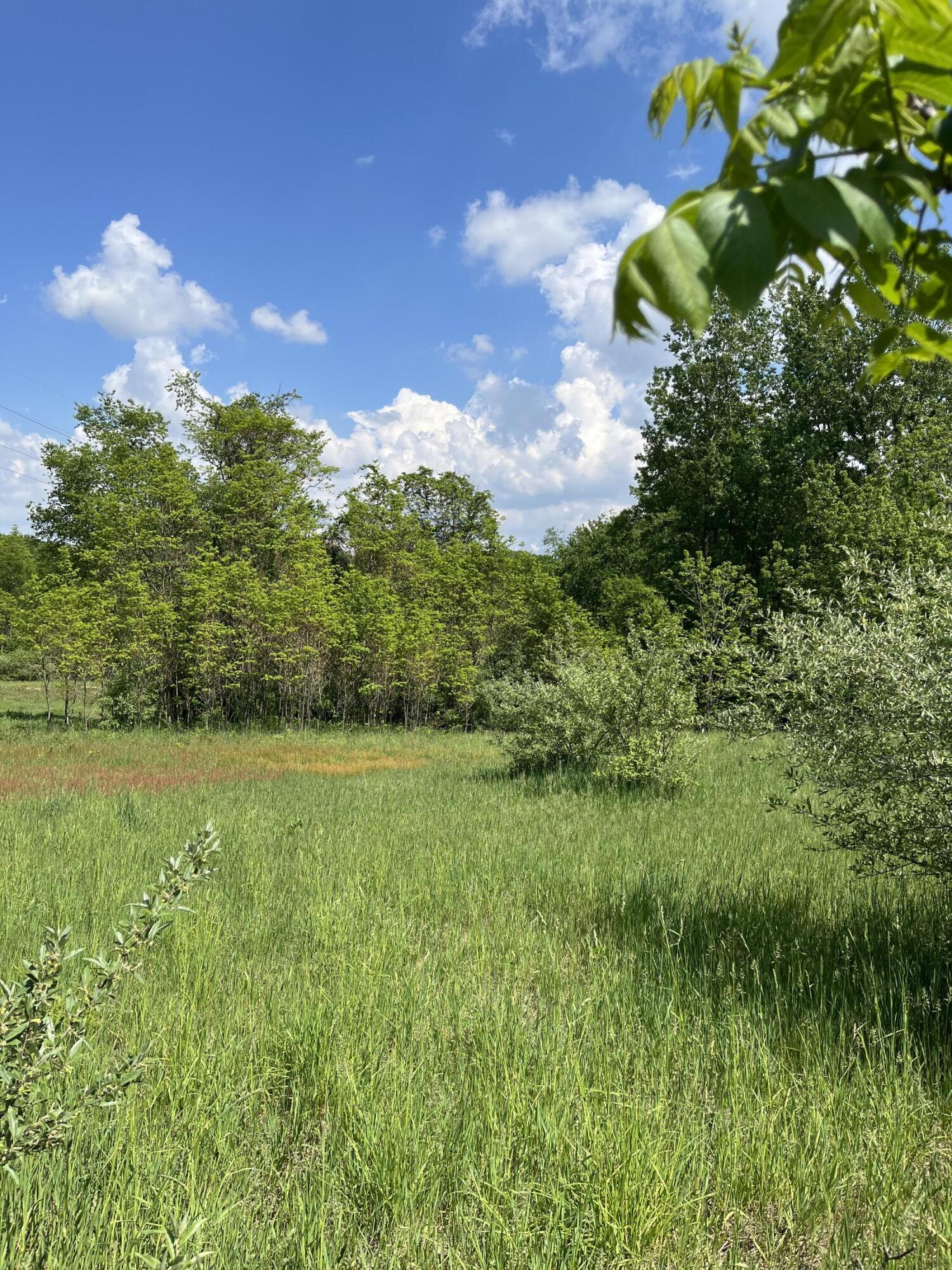 Allegan, Michigan 49010, United States, ,Land,Active,81548