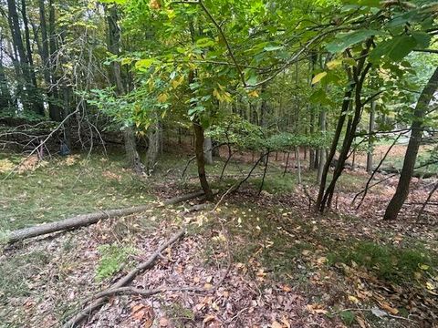 11269 Apache Wells Court Canadian Lakes MI 49346