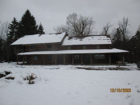 Photo of 9500 Gilbert Road, Pittsford, MI 49271 (MLS # 25061757)