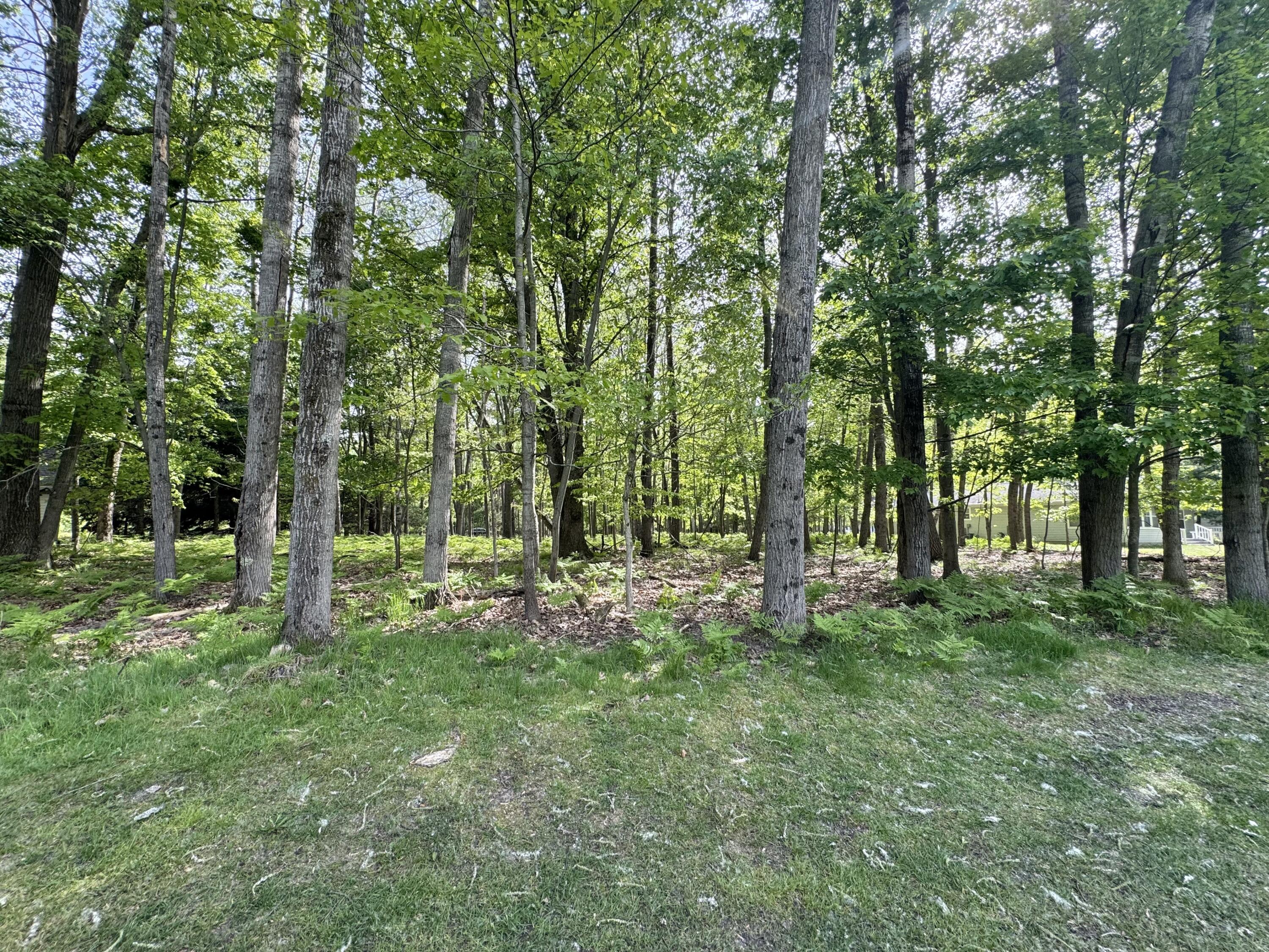 9368 Clubhouse Drive W