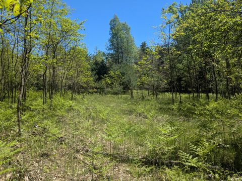 Photo of 40ac V/L Clements Road, Kaleva, MI 49645 (MLS # 26027697)