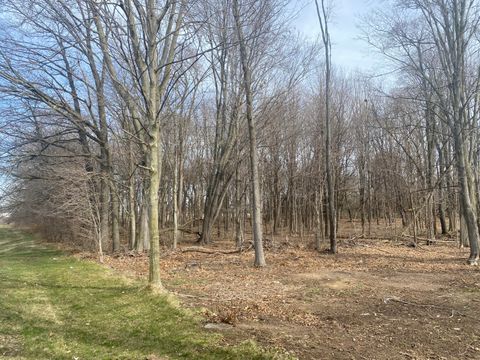 Photo of 64893 Burg Road, Centreville, MI 49032 (MLS # 26021906)