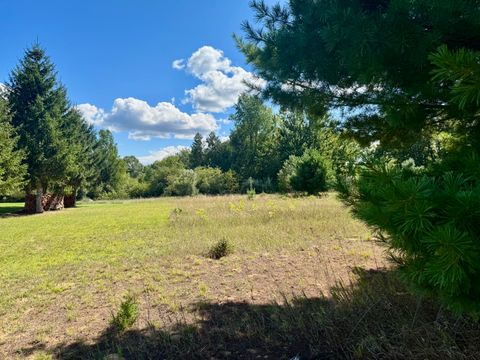 6685 Cedar Trace Canadian Lakes MI 49346