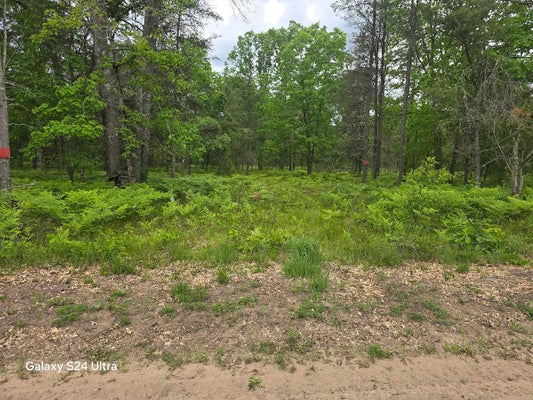S FORMAN RD, BALDWIN, MI 49304 - Image ba0a88bfac73e06dc70f138217fbac17/596494151